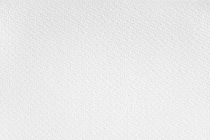 Papertree%20Artist%20Quality%20Canvas%20Paper%2010%20Pcs%20Pack%20for%20Water/Oil/Acrylic/Gouache%20-%20High-Quality%20Canvas%20Sheets%20for%20Art%20Supplies%20-%20Image%206