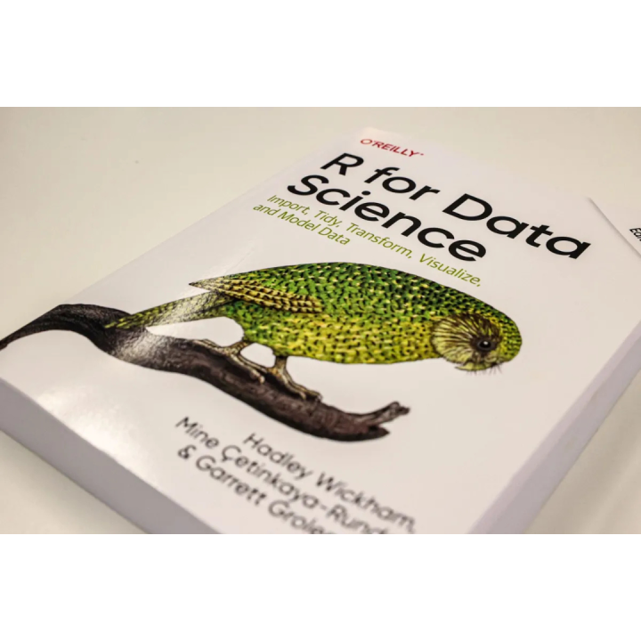 R%20for%20Data%20Science:%20Import,%20Tidy,%20Transform,%20Visualize,%20and%20Model%20Data%20by%20Hadley%20Wickham%20and%20Mine%20Cetinkaya-Rundel%20-%20Image%206