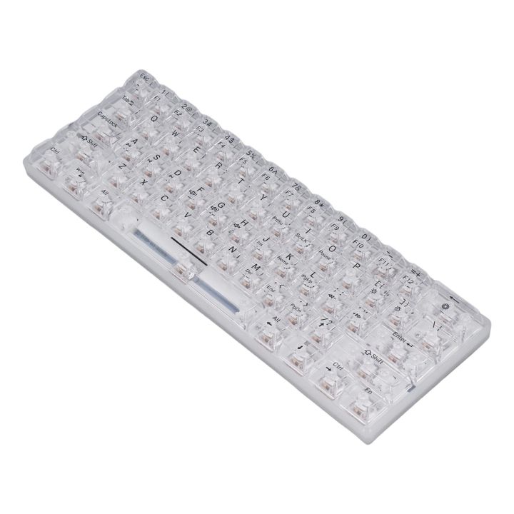 61 Keys Transparent Mechanical Keyboard Clear Keycap Wired Gaming Keyboard 19 Lights Hot Swap Keyboard for Office