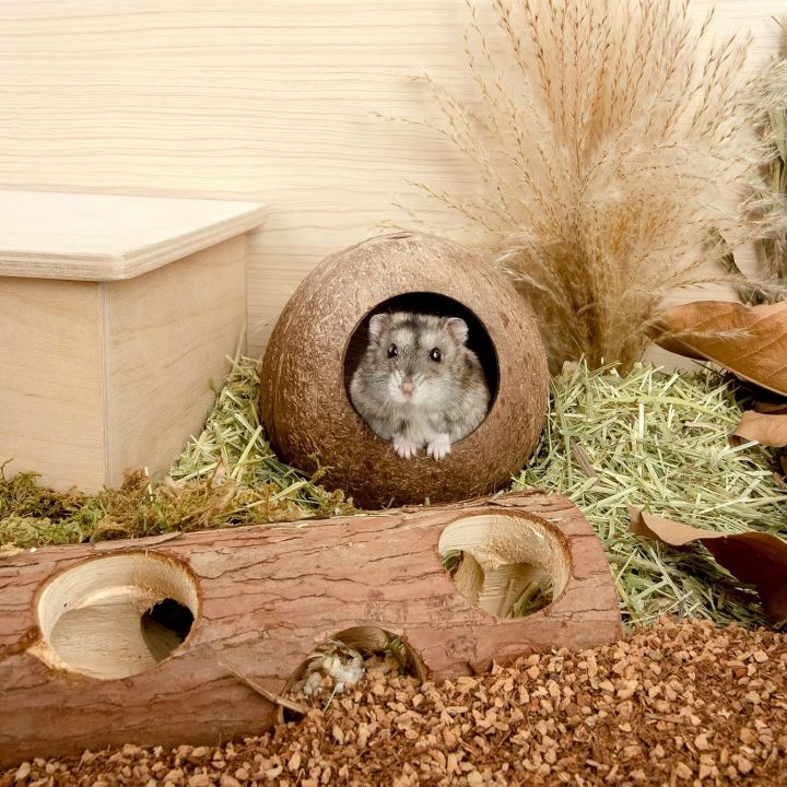 Coconut%20Hut%20Hamster%20House%20Bed%20for%20Gerbils%20Mice%20Small%20Animal%20Cage%20Habitat%20Decor%20-%20Image%202