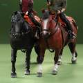 1/12 Scale Horse Figure Action Figure Accessory for 6 inch Figure Accessory.