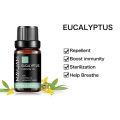 Eucalyptus Essential Oil 10 ml.. 