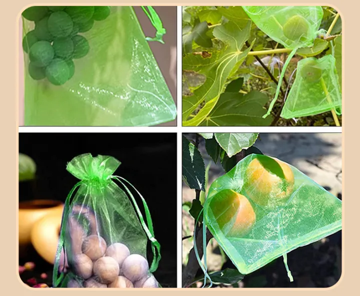 10%20PCS%20Fruit%20Garden%20Nylon%20Protection%20Bag%20Insect-proof%20protection%20Bag%20Insect%20Mesh%20Net%20for%20Anti%20Insect%20-%20Image%207