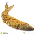 Shutki-Shukki-Nona Elish Dry Fish-250gm. 