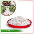 White Decorative Stone (Gardening, Aquarium and Others)  - 1 kg. 