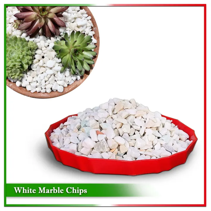 White%20Decorative%20Stone%20(Gardening,%20Aquarium%20and%20Others)%20%20-%201%20kg%20-%20Image%202
