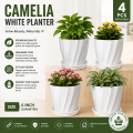 Camelia White Planter 6 Inchi 4 Pcs with Tray. 