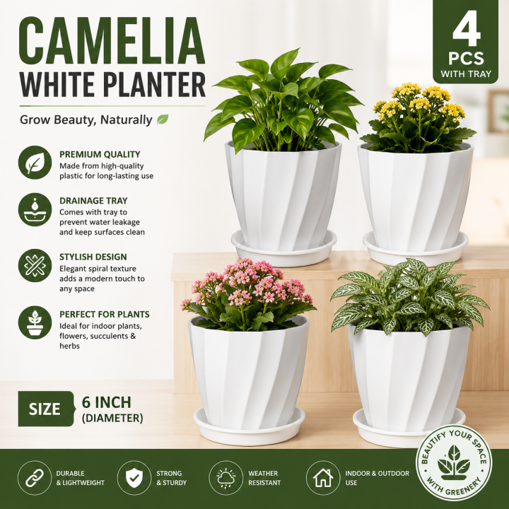 Camelia White Planter 6 Inchi 4 Pcs with Tray