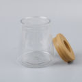 Transparent Flower Pot Hydroponic Automatic Water Absorption Plastic Flower Pot Sunlight Mall. 