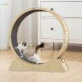 Cat Exercise Wheel, Silent Sports Climbing Frame, Exerciser Wheel, Wooden Kitty Furniture Cat Treadmill for Kitty Exercising Pet Supplies Kitten , Small.