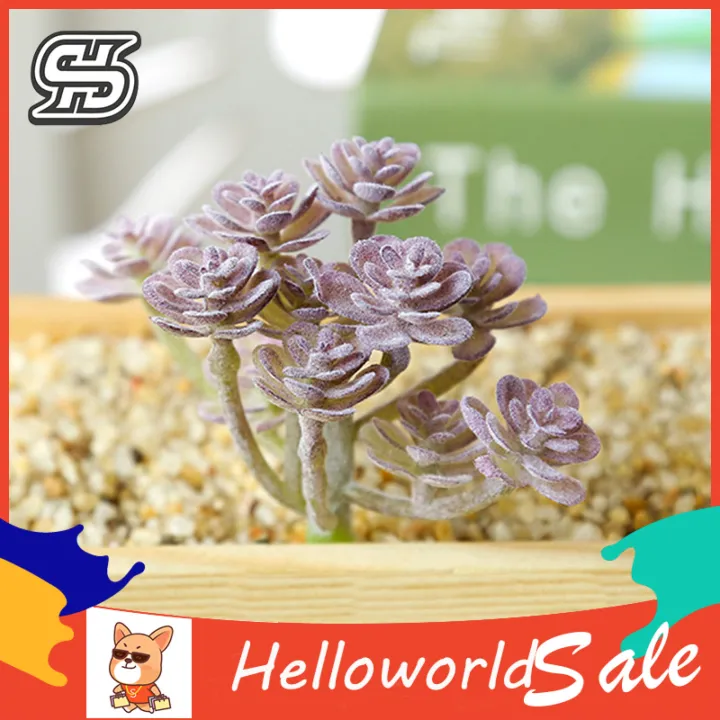 Artificial%20Succulents%20Wide%20Application%20Photography%20Props%20Fake%20-%20Image%206