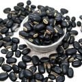 Pahari Alkushi Seeds/ Alkushi Seed - 500 gm. 