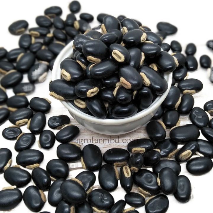 Pahari%20Alkushi%20Seeds/%20Alkushi%20Seed%20-%20500%20gm%20-%20Image%202