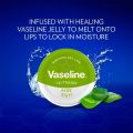 Vaseline Lip Therapy Aloe Vera 20g UK.