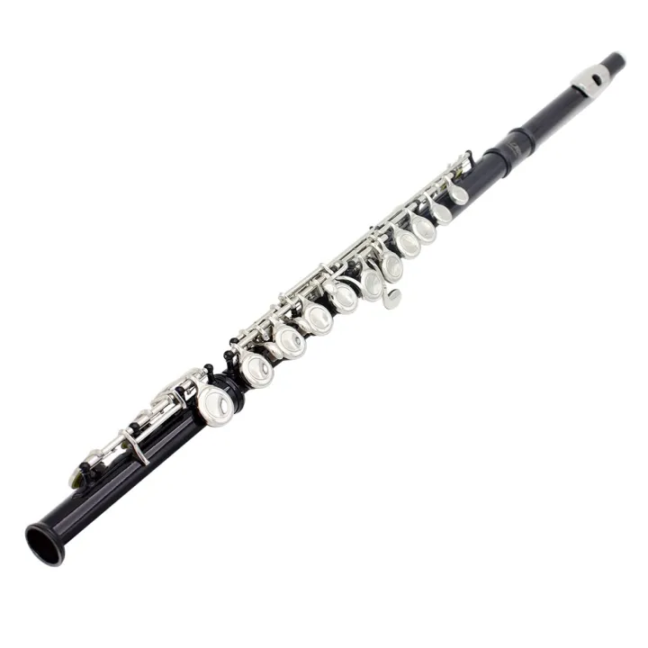 Western%20Concert%20Flute%20Cupronickel%20Plated%20Silver%2016%20Holes%20C%20Key%20Woodwind%20Instrument%20-%20silver%20-%20Image%209