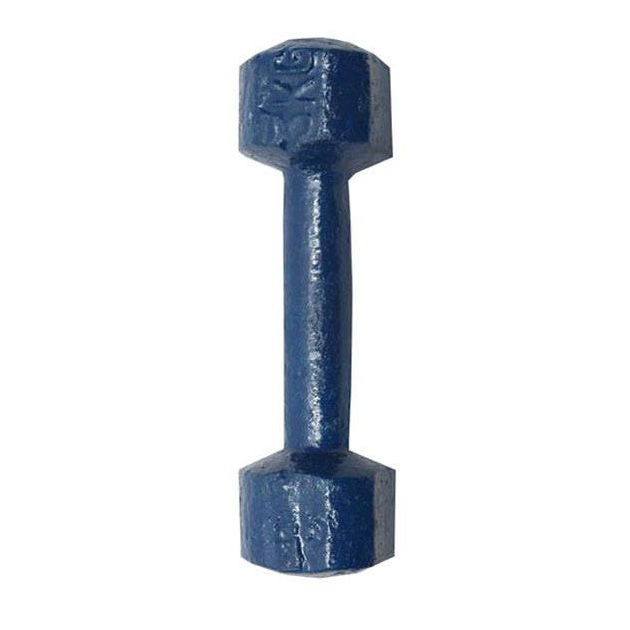 4kg%20Bangla%20Dumbbell%20Blue%201pcs%20(Not%20Accurate%20Weight)%20-%20Sports%20&%20Fitness%20-%20Image%202