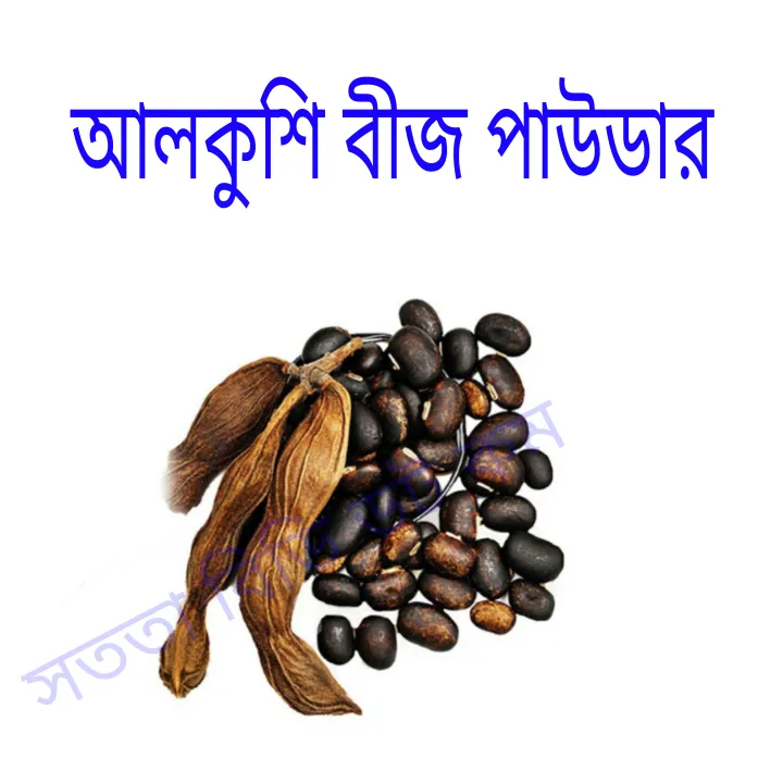 alkushi%20pawdar%20/%20%20alkushi%20pawdar%20100%20gm%20organic%20-%20Image%203