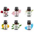 Pure Essential Oils 10ML with Diffuser Reed Oils Refill Diffuser Aromatic Oil Jasmine Sakura Lemon Rose Vanilla Essential Oils. 