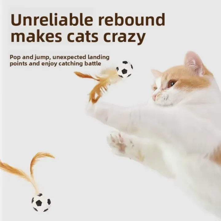 Interactive%20Cat%20Teaser%20Toy%20%E2%80%93%20Elastic%20Feather%20Ball%20Stick%20for%20Cat%20Exercise%20&%20Self-Play%20-%20Image%205