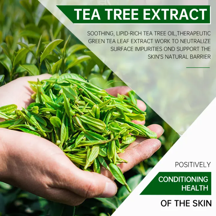 Acne%20Treatment%20Facial%20Mask%20Natural%20Tea%20Tree%20Pore%20Cleaning%20Blackhead%20Remove%20Oil%20Control%20Pimple%20Skin%20Care%20Products%20Face%20Clay%20Mask%20KKhao%20-%20Image%204