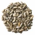 Sunflower seeds without shell 100gm. 
