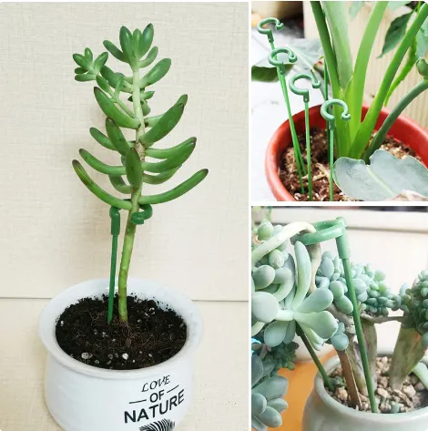 10pcs/set%20Plastic%20Plant%20Supports%20Flower%20Stand%20Reusable%20Protection%20Fixing%20Tool%20Gardening%20Supplies%20For%20Vegetable%20Holder%20Bracket%20-%20Image%204