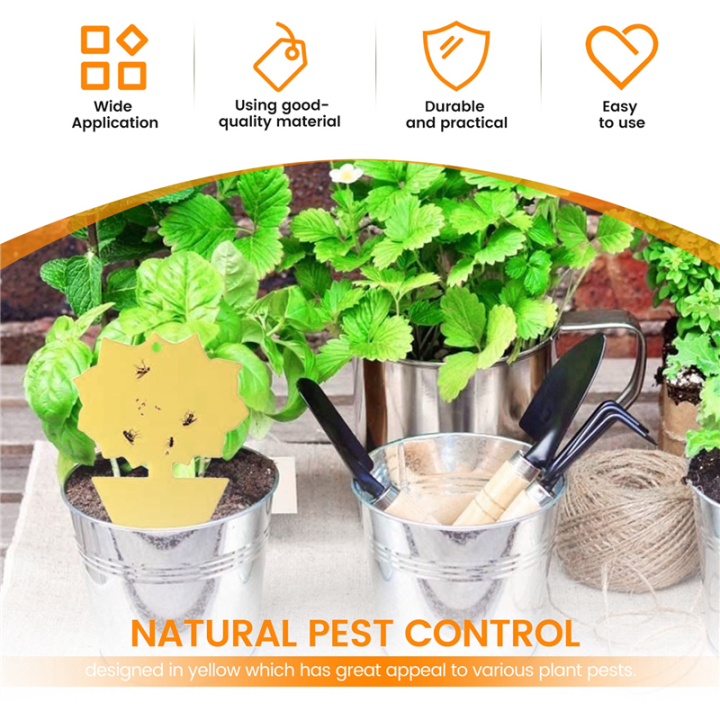 20Pcs%20Sticky%20Trap,Fruit%20Fly%20and%20Gnat%20Trap%20Yellow%20Sticky%20Bug%20Traps%20for%20Indoor/Outdoor%20Use%20Insect%20Catcher%20for%20White%20Flies%20-%20Image%205