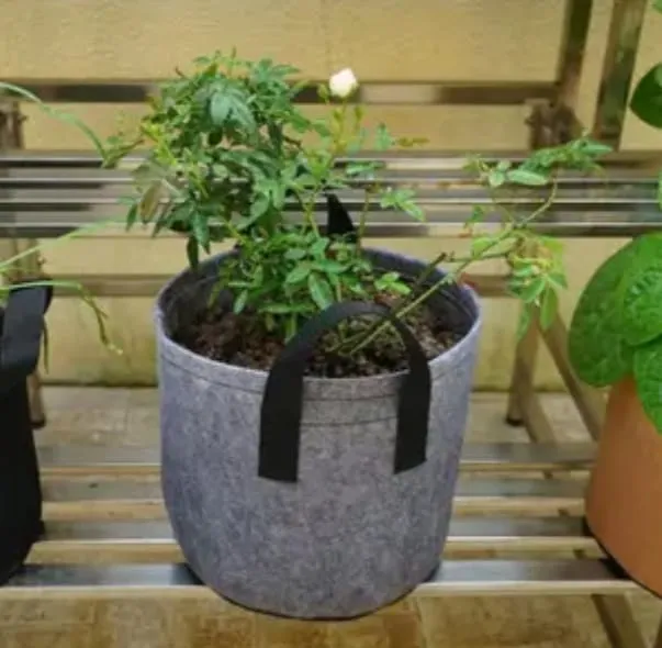 Premium%20Quality%20GEO%20Bag%205%20Gallon%20(Dia%2012"%20Hight%209.5")%20-1%20PCS%20/%20Plant%20Grow%20Bags,%20Synthetic%20Pot%20-%20Image%202