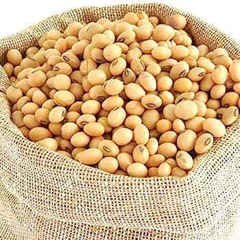 Soybean%20Seeds/%20Soybean%20Bichi/Bij-%20%20500%20gm%20-%20Image%202