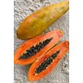 Italian Papaya Seeds-30 pice Seeds. 