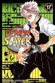 Demon Slayer: Kimetsu no Yaiba, Vol. 17. 