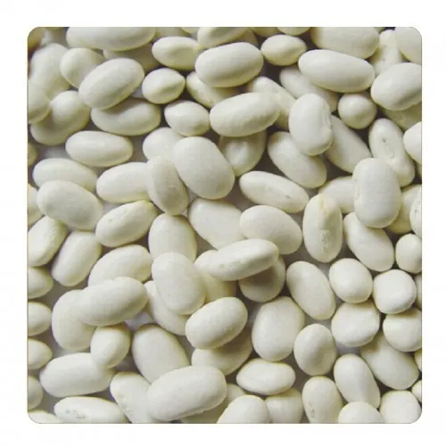 White%20Kidney%20Beans%20/%20White%20Kidney%20Beans/%20%20sada%20Rajma%20-%201%20Kg%20-%20Image%202