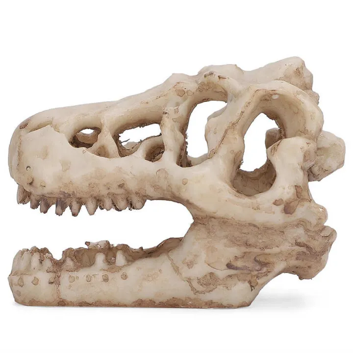 fish%20tank%20decor%20artificial%20simulation%20dinosaur%20skull%20shape%20for%20water%20lan%20-%20Image%204