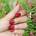 Natural Plant Henna Powder Nail Beauty Nail Dyeing Red Black With Tools Nail Art Colors Natural Gloss 20g. 