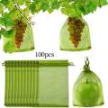 100 Pieces Fruit Protection Bags Fruit Netting Cover Bags for Veggies Garden 15cmx20cm.