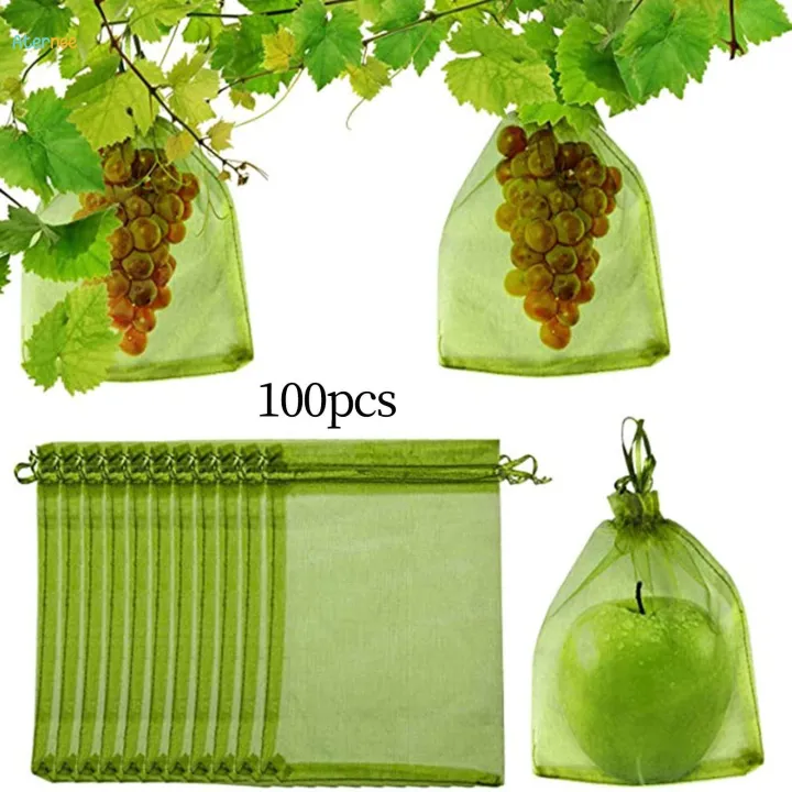 100%20Pieces%20Fruit%20Protection%20Bags%20Fruit%20Netting%20Cover%20Bags%20for%20Veggies%20Garden%2015cmx20cm%20-%20Image%205