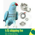 Indian Ringneck Parrot China Ring & Harness.