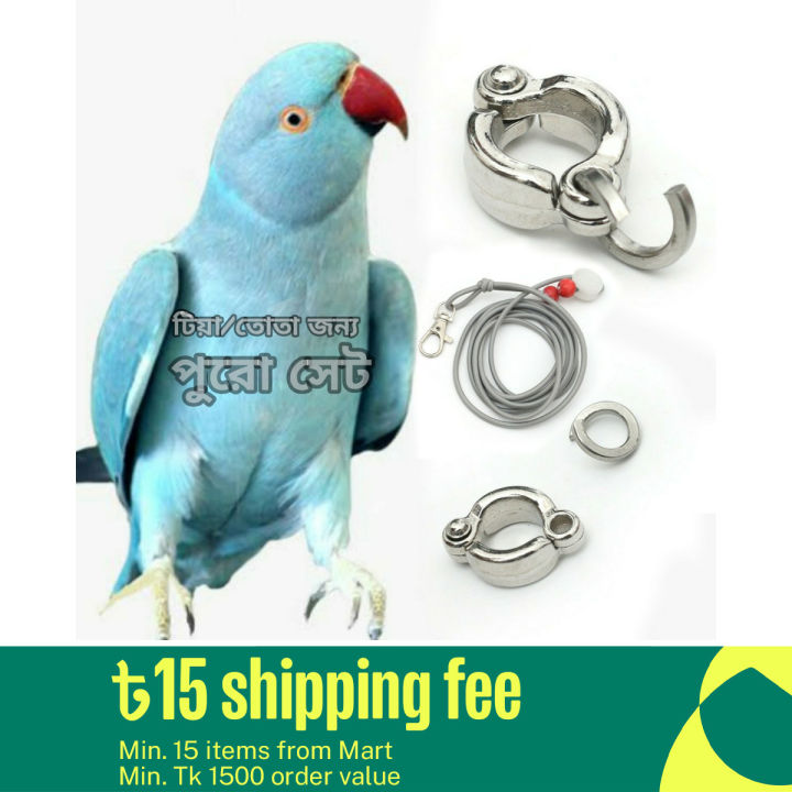 Indian Ringneck Parrot China Ring & Harness