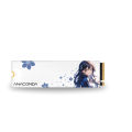 Anacomda NINI Special Edition 512GB M.2 NVMe PCIe Gen3x4 SSD.