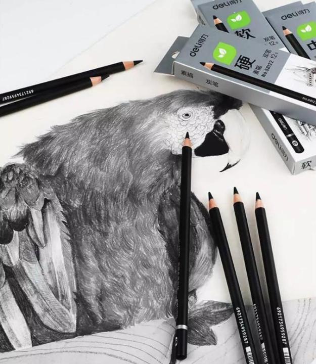 Charcoal%20Pencil%20Charcoal%20Sketch%20Painting%20Drawing%20Pencil%20-%201%20pc%20-%20Image%208