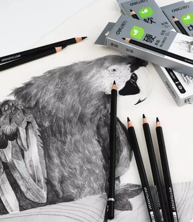 Charcoal%20Pencil%20Charcoal%20Sketch%20Painting%20Drawing%20Pencil%20-%201%20pc%20-%20Image%208