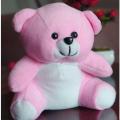 Plain Mini Teddy Bear Dolls | Small Bouquet Bear | Sni Pink Bear Dolls | Plain Dolls. 