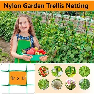 Plastic%20Macha%20Net%20%7C%20Long%20Lasting%7C%20Fresh%20and%20Perfect%20Measurrment%20for%20Roof%20Garden%20and%20Professional%20Gardener.%20-%20Image%208