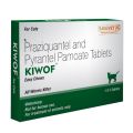 Kiwof Cat Deworming Tablets – Dewormer For cats ( 1 Tablet ). 