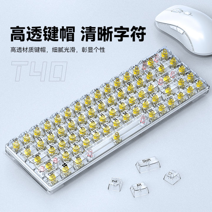 T-WOLF%20T40%20Mechanical%20Keyboard%20Transparent%20RGB%20Backlit%20Brown%20Switch,%20Red%20Switch,%20Yellow%20Switch,%2068%20Key%20Keyboard%20Key%20Line%20Separation%20-%20Image%203