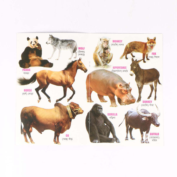 8%20PCS%20Laminated%20Kids%20Book%20Set%20%E2%80%93%20Fruits%20Flowers%20Birds%20Fish%20Vegetables%20Reptiles%20Vehicles%20&%20Animals%20Picture%20Learning%20Alphabet%20in%20Bangla,%20English%20Letter%20Early%20Education%20Preschool%20Kindergarten%20Toddler%20Study%20for%20Children%20-%20Image%207