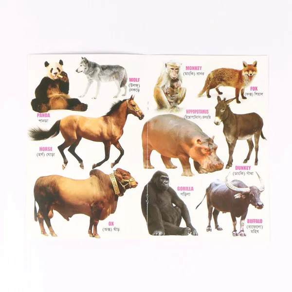 8%20PCS%20Laminated%20Kids%20Book%20Set%20%E2%80%93%20Fruits%20Flowers%20Birds%20Fish%20Vegetables%20Reptiles%20Vehicles%20&%20Animals%20Picture%20Learning%20Alphabet%20in%20Bangla,%20English%20Letter%20Early%20Education%20Preschool%20Kindergarten%20Toddler%20Study%20for%20Children%20-%20Image%207
