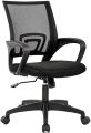 Executive Chair FN-01PB Smart office Executive Chair. 