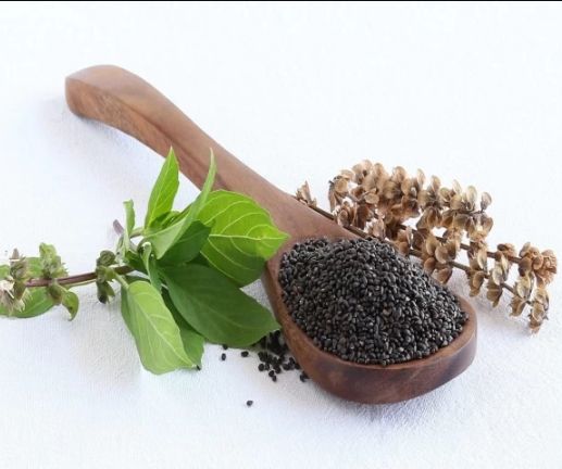 Indispensable%20-%20Fresh%20Green%20Holy%20Basil%20(Tulsi%20Plant)%20seeds%20-%2040%20Pieces%20for%20Holistic%20Health%20and%20Wellness%20-%20Tools,%20DIY%20&%20Outdoor%20-%20Image%204