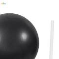 Small Pilates Ball Core Ball Heavy Duty Thickened 9 inch Exercise Ball Yoga Ball for Gymnastics Working Out Stability Home Gym.